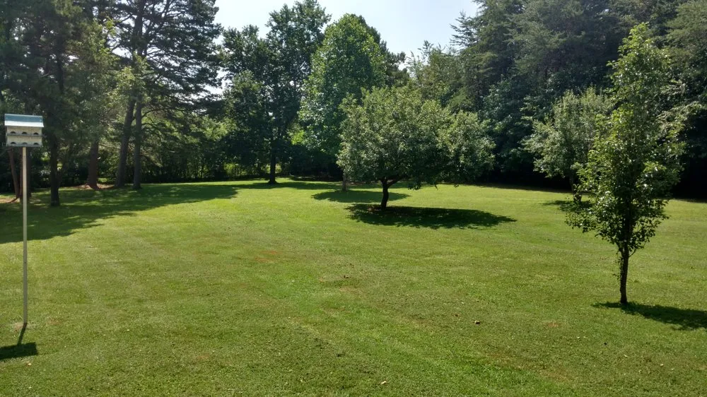 Affordable yard cleanup service experts serving Anderson, SC - No Hassle Maintenance