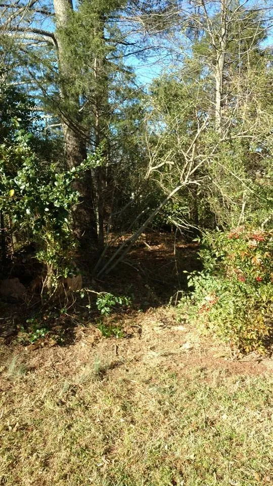 Professional landscaping services near you across Anderson, SC - No Hassle Maintenance