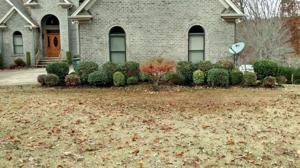 Local landscaping services in Anderson, SC by No Hassle Maintenance