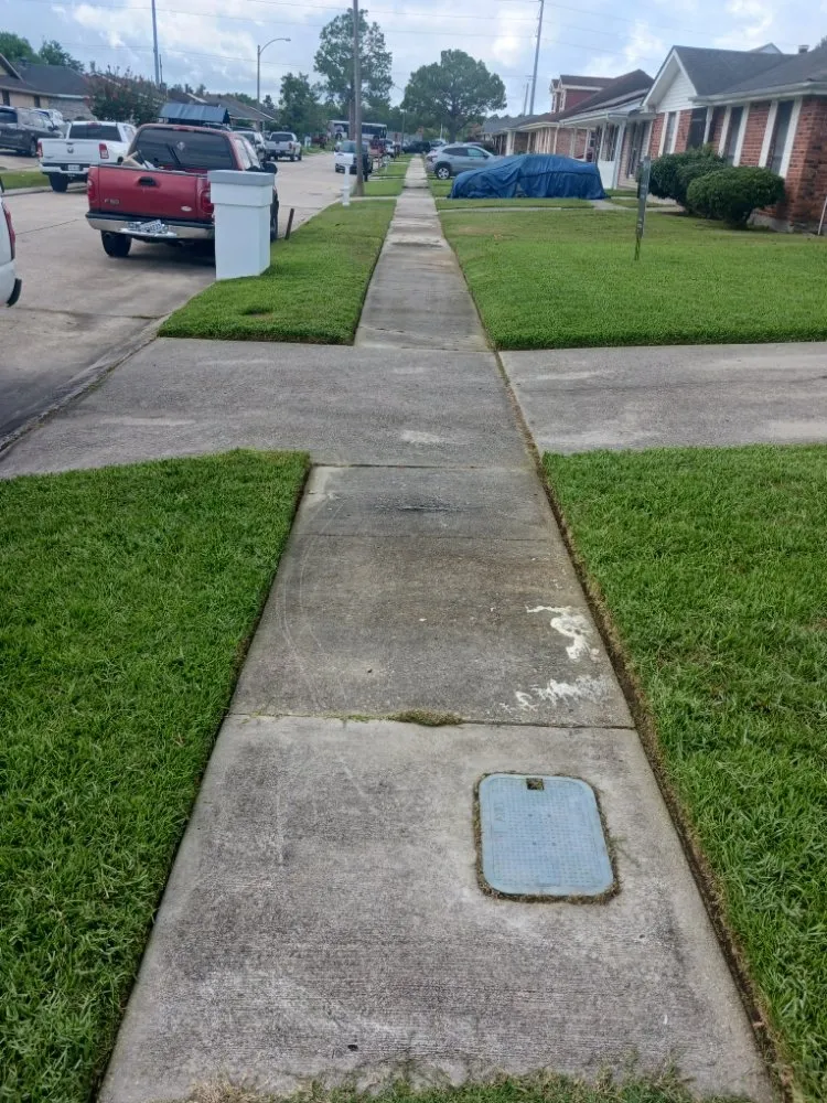 Local yard maintenance in New Orleans, LA by No Job 2 Big Landscaping Services