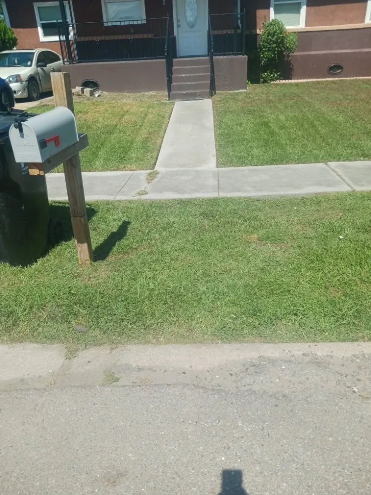 Local yard cleanup service for outdoor upgrades across New Orleans, LA - No Job 2 Big Landscaping Services