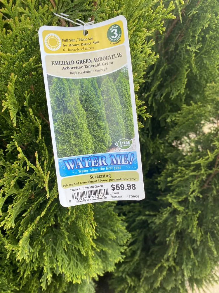 Top-rated garden landscaping in Cayce, SC by No Job Too Crummy