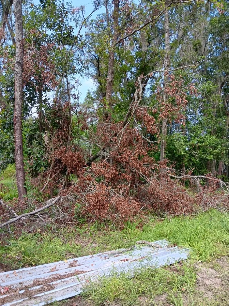 Local lawn mowing service with custom design in Rincon, GA by No Job Too Small