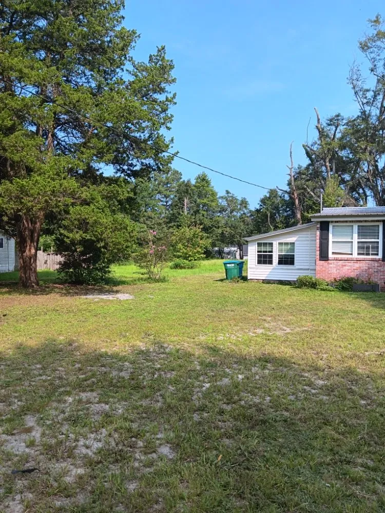 Expert yard cleanup service in Rincon, GA - No Job Too Small