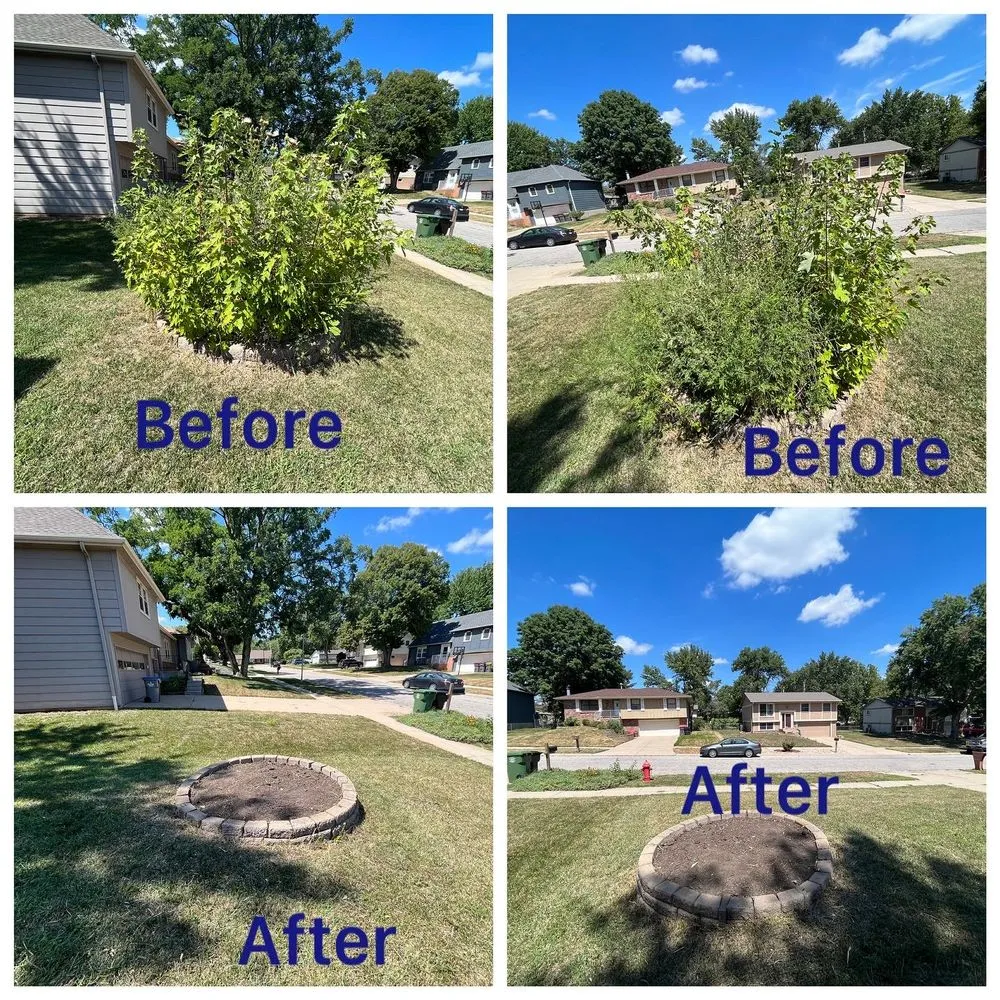 Professional yard cleanup service in Lincoln, NE by No Joke Lawn Care