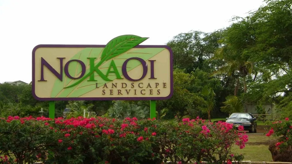 Reliable yard cleanup service with custom design across Hanapepe, HI - No Ka Oi Landscape Services