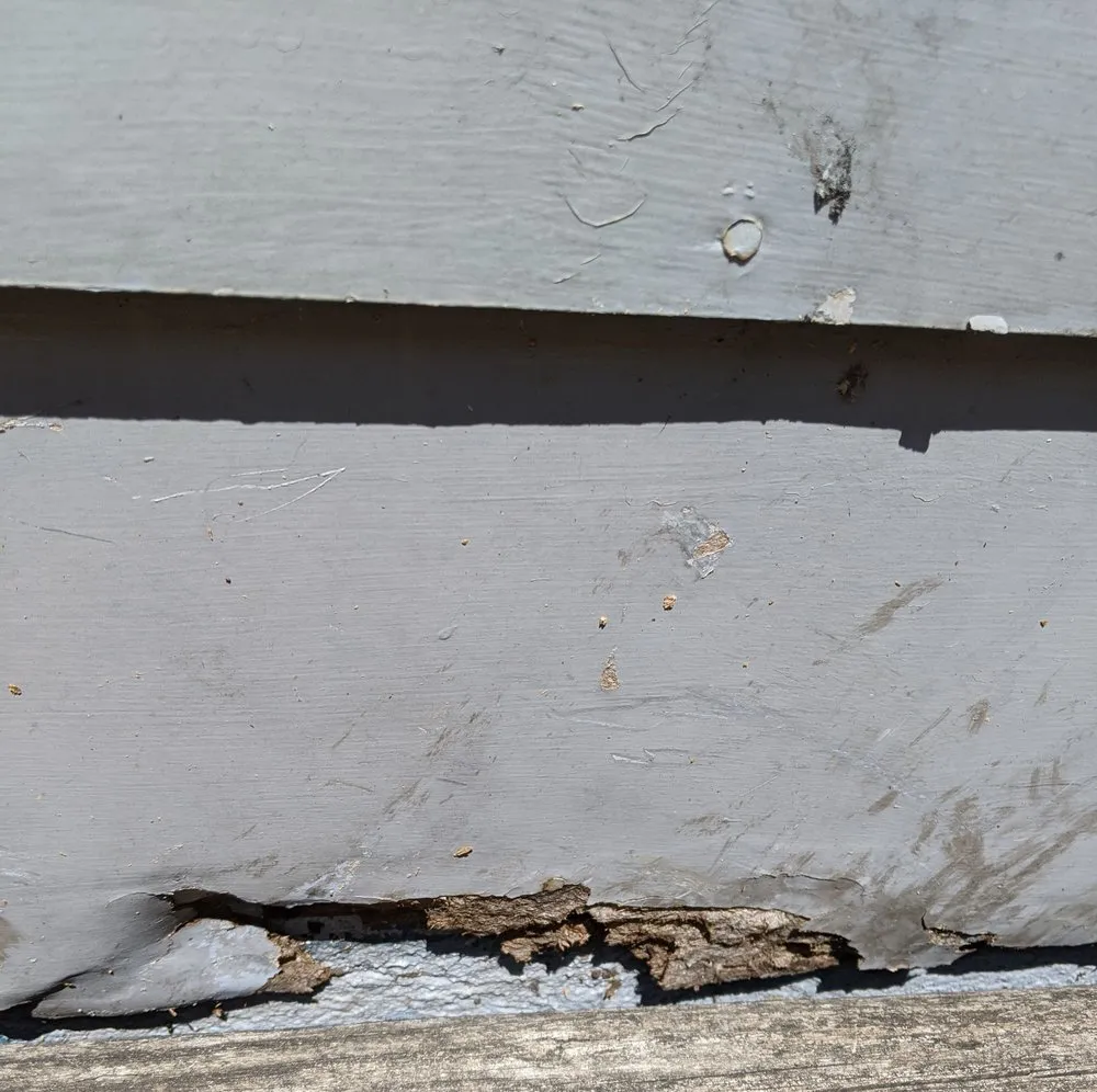 Affordable yard cleanup service in Perry, IA by No Lawn Left Behind