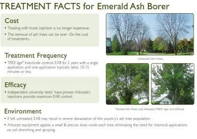 Local yard maintenance in Perry, IA by No Lawn Left Behind