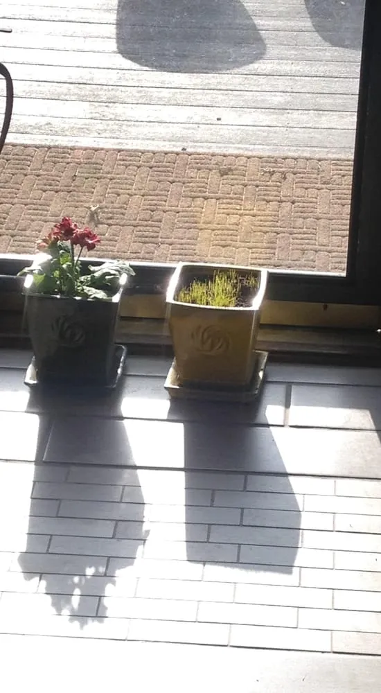 Top-rated lawn care service experts serving Perry, IA - No Lawn Left Behind