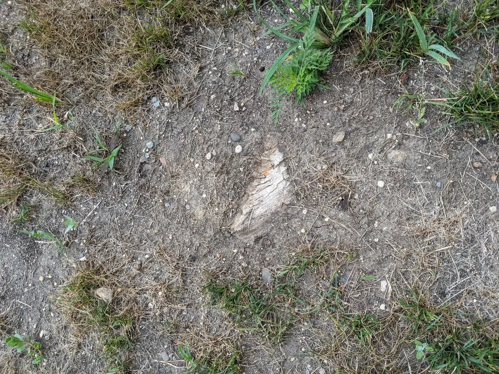 Professional garden landscaping in Perry, IA - No Lawn Left Behind