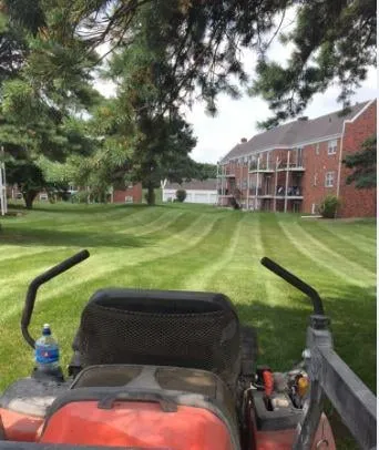 Custom yard cleanup service experts serving Perry, IA - No Lawn Left Behind