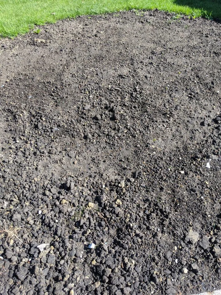 Professional lawn care service experts serving Perry, IA - No Lawn Left Behind