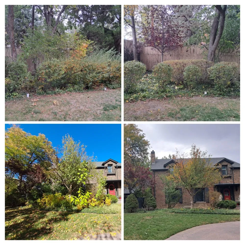 Reliable yard maintenance in Pueblo, CO by No Leaks Irrigation & Landscaping