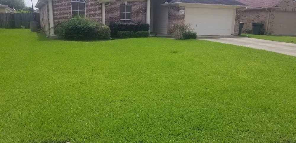 Trusted outdoor landscaping in Beaumont, TX - No Life Mow Life Lawn Maintenance