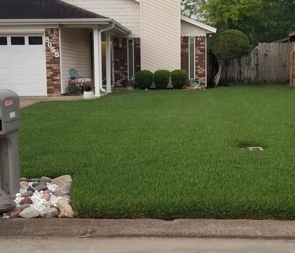 Local lawn mowing service in Beaumont, TX - No Life Mow Life Lawn Maintenance