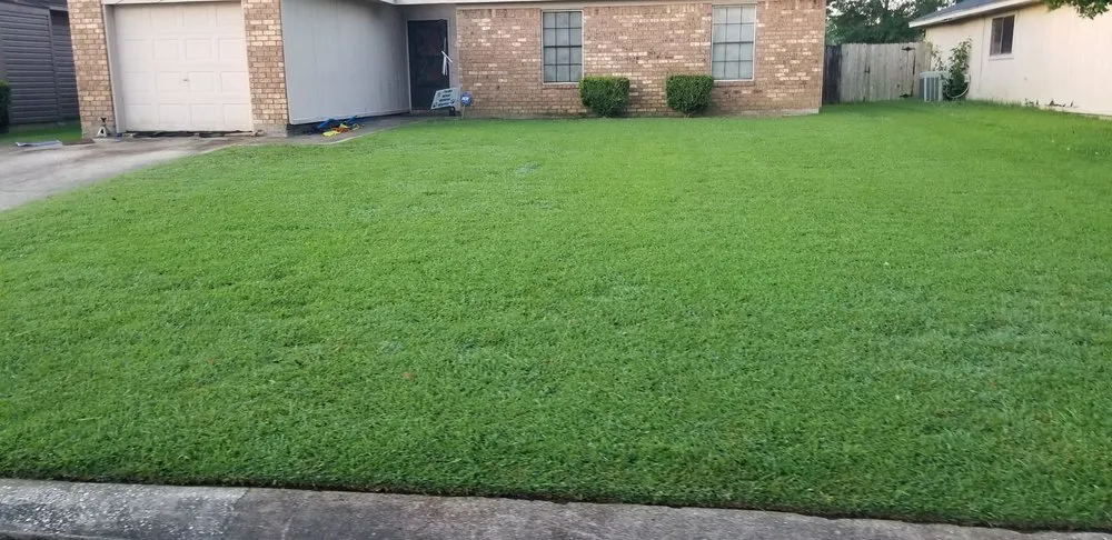 Custom lawn care service for beautiful yards in Beaumont, TX by No Life Mow Life Lawn Maintenance