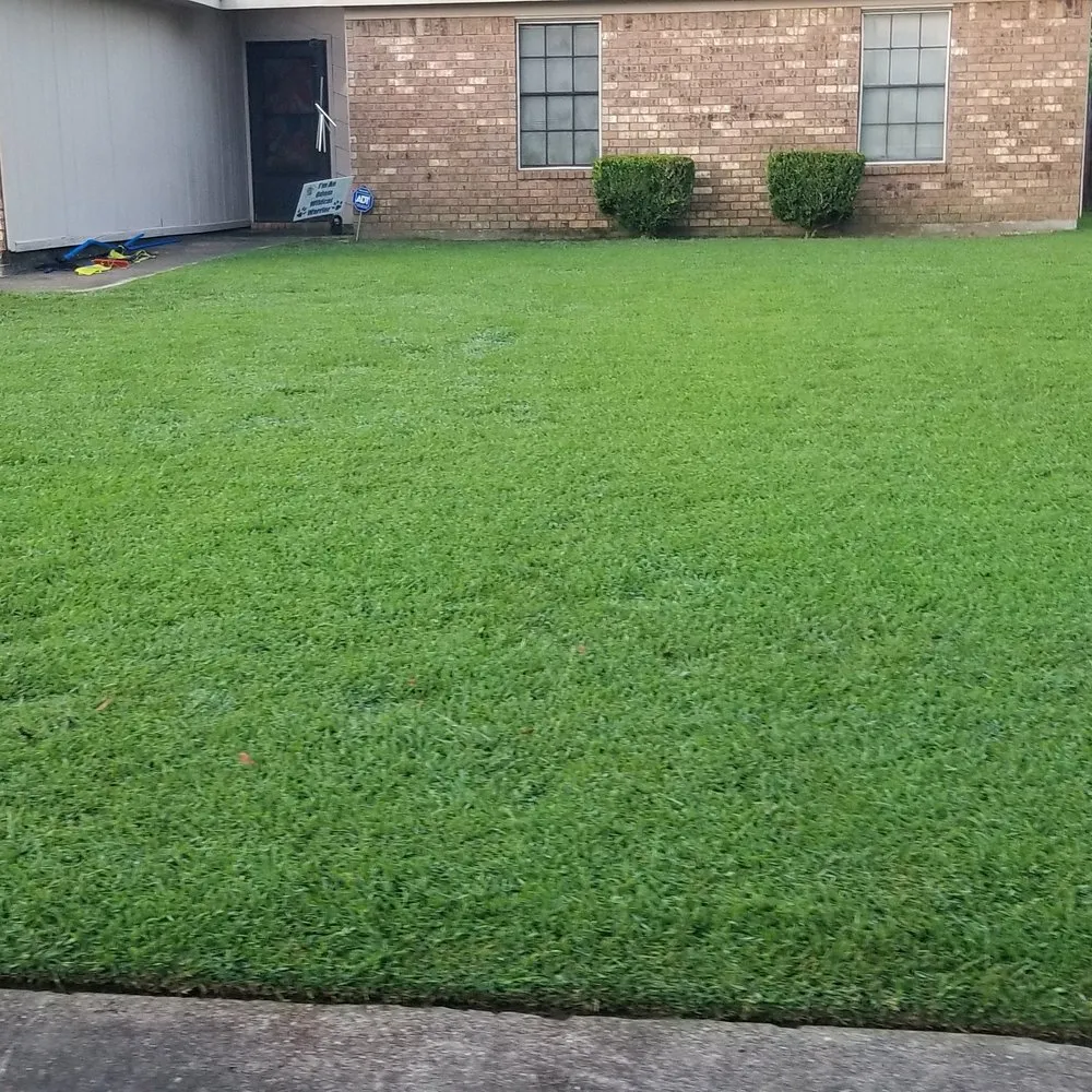 Trusted yard maintenance near you across Beaumont, TX - No Life Mow Life Lawn Maintenance