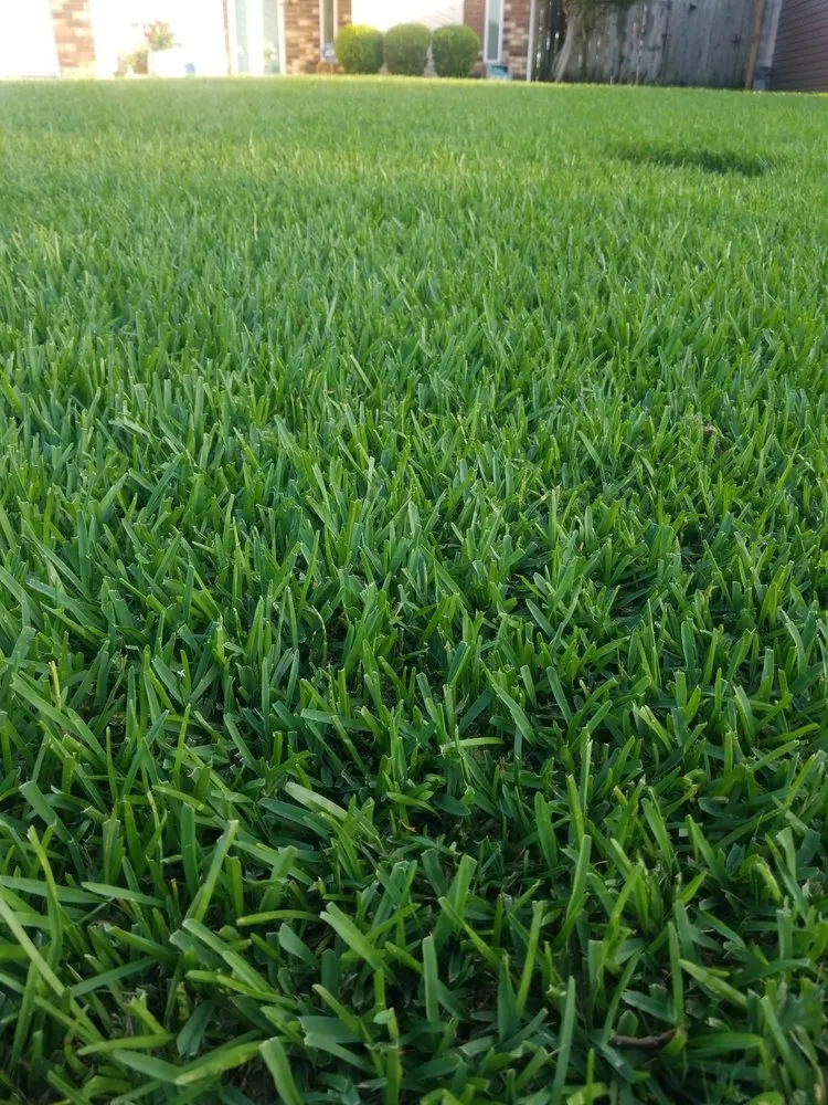 Trusted landscape installation for homes across Beaumont, TX - No Life Mow Life Lawn Maintenance