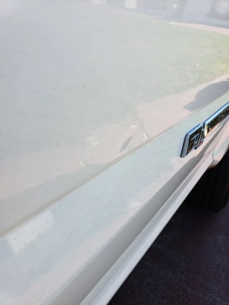 Top-rated yard cleanup service in Kissimmee, FL by No Limit Inc