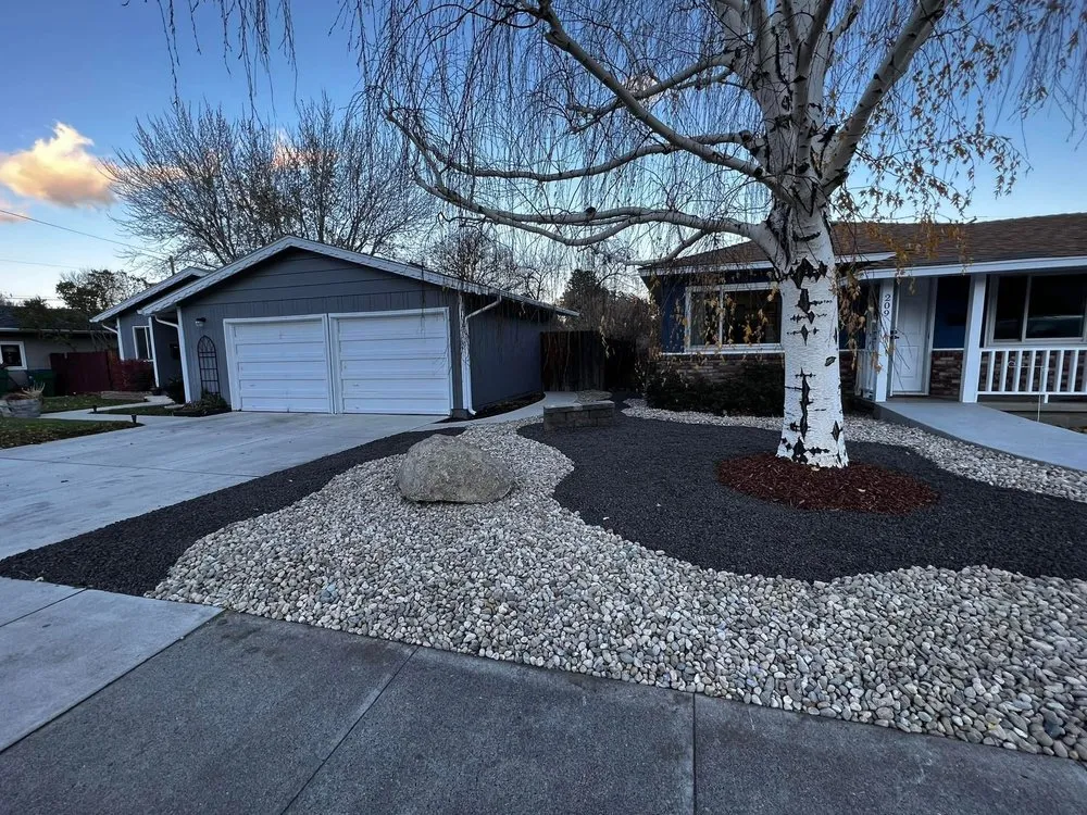 Professional outdoor landscaping in Carson City, NV by No Limit Landscape