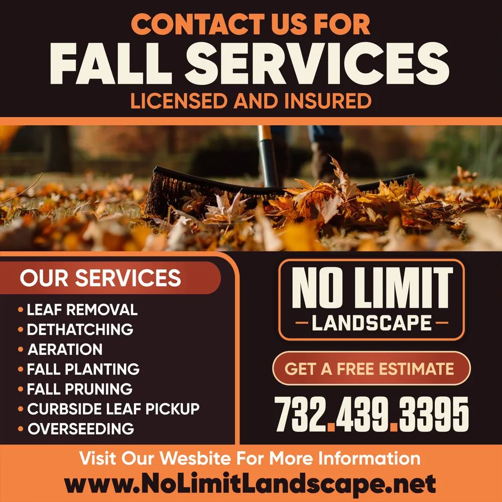 Affordable outdoor landscaping for beautiful yards in Fords, NJ by No Limit Landscape