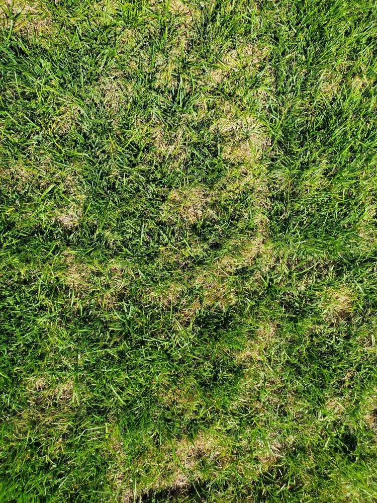 Professional landscape installation experts serving Las Vegas, NV - No Limit Landscape