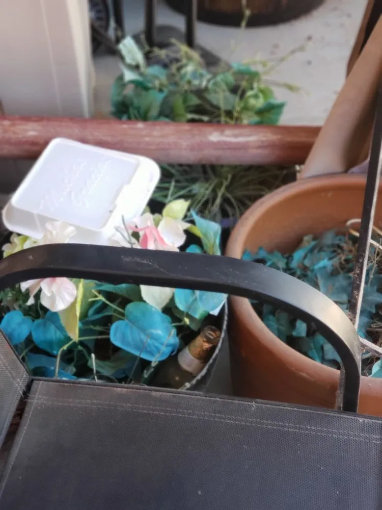 Local landscaping services in Las Vegas, NV by No Limit Landscape