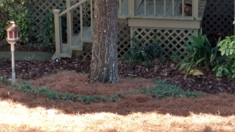 Reliable outdoor landscaping in Kennesaw, GA - No Limit Landscaping