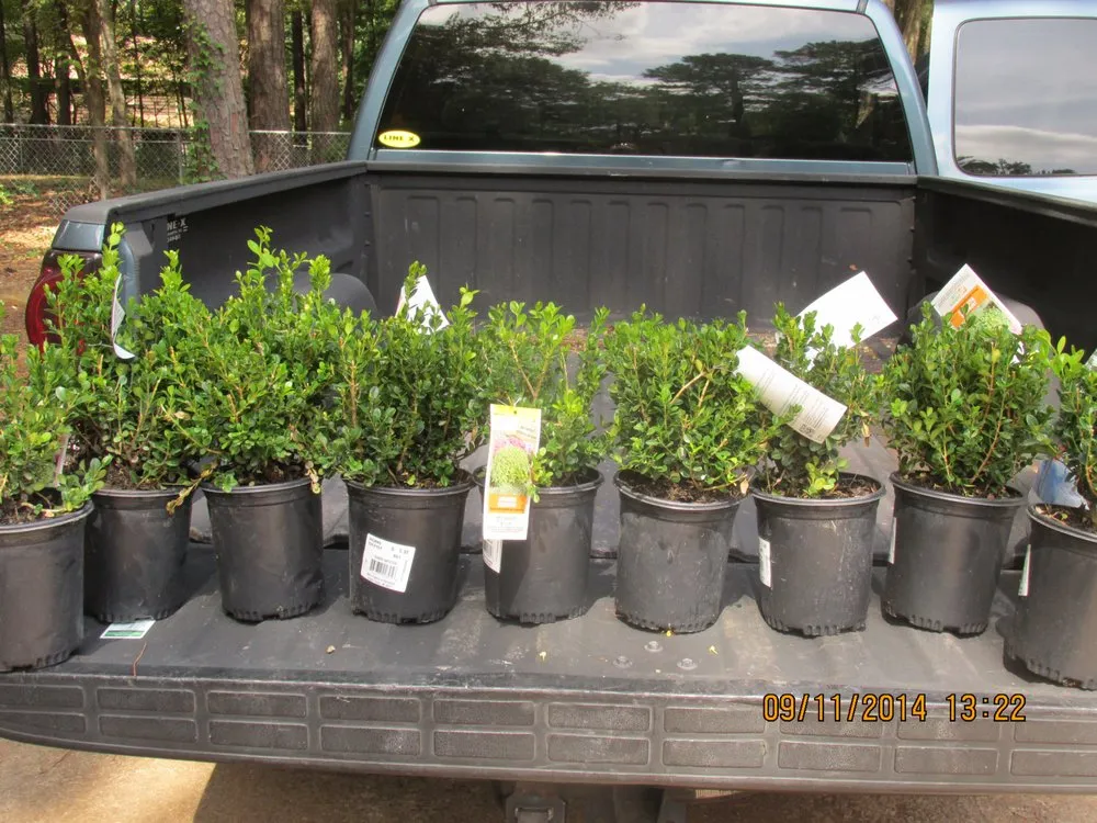 Trusted landscape design near you in Kennesaw, GA by No Limit Landscaping