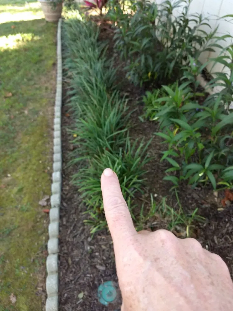 Affordable yard maintenance experts serving Kennesaw, GA - No Limit Landscaping