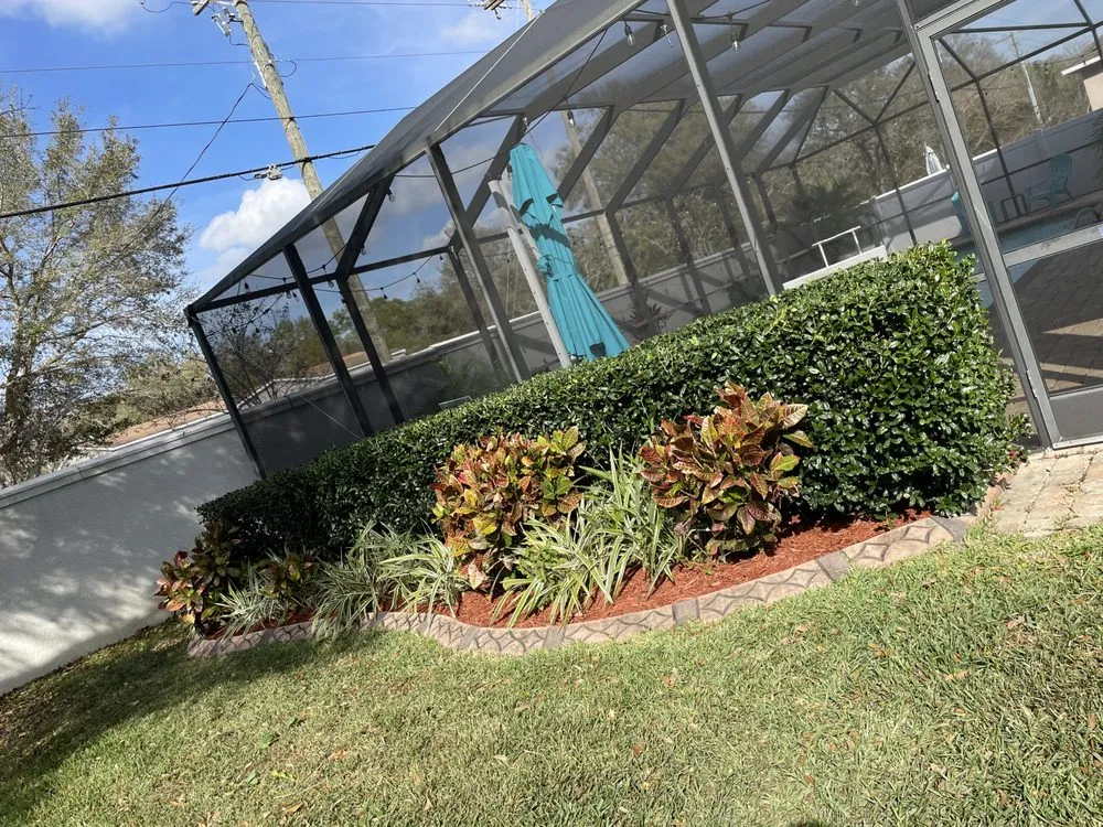 Local yard cleanup service for beautiful yards across Plant City, FL - No Limit Landscaping