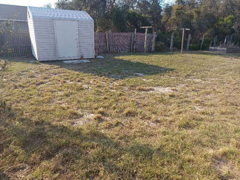 Professional lawn care service experts serving Avon Park, FL - No Limit Lawn Care