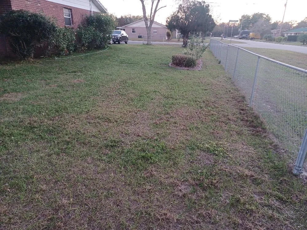 Top-rated outdoor landscaping in Avon Park, FL - No Limit Lawn Care