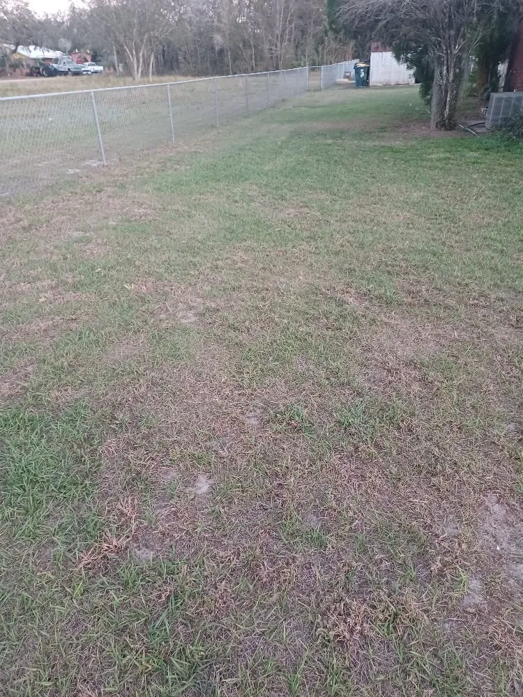 Expert outdoor landscaping for homes across Avon Park, FL - No Limit Lawn Care