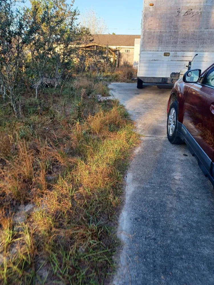 Custom yard maintenance in Avon Park, FL by No Limit Lawn Care