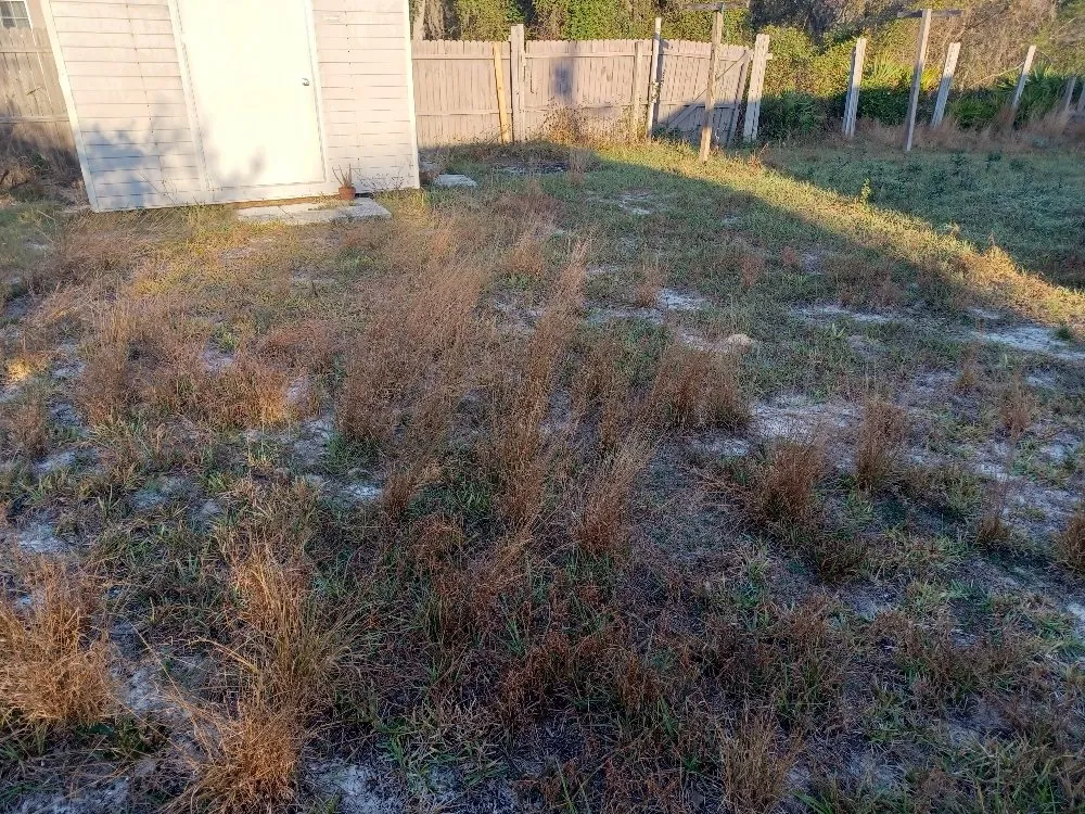 Affordable yard cleanup service experts serving Avon Park, FL - No Limit Lawn Care