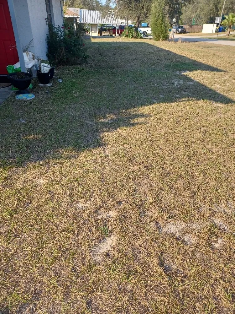 Affordable residential landscaping for beautiful yards across Avon Park, FL - No Limit Lawn Care