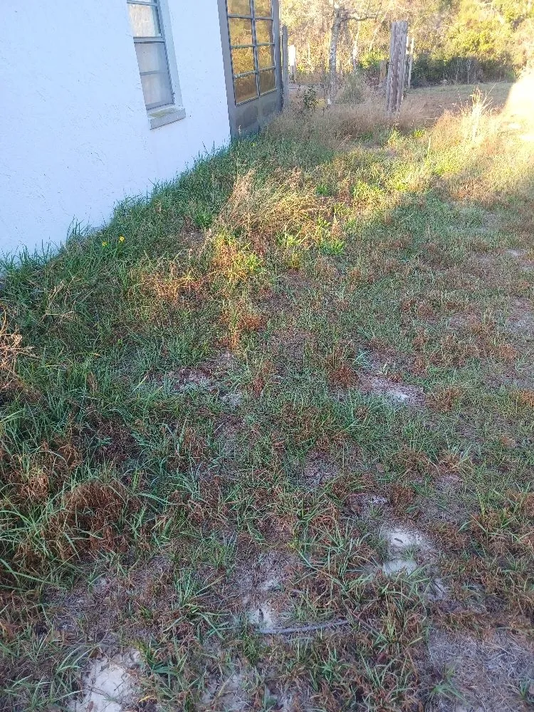 Top-rated lawn mowing service for residential properties in Avon Park, FL by No Limit Lawn Care