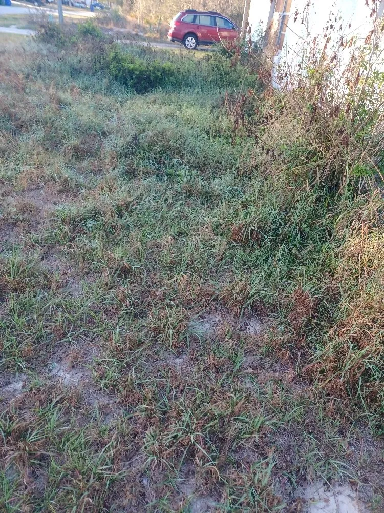 Expert landscape installation for outdoor upgrades in Avon Park, FL by No Limit Lawn Care