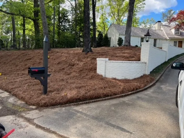 Expert landscape installation in Tuscaloosa, AL - No Limit Lawn Service