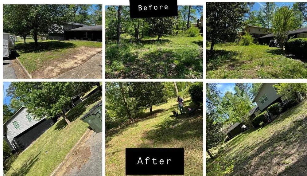 Local landscaping services in Tuscaloosa, AL by No Limit Lawn Service