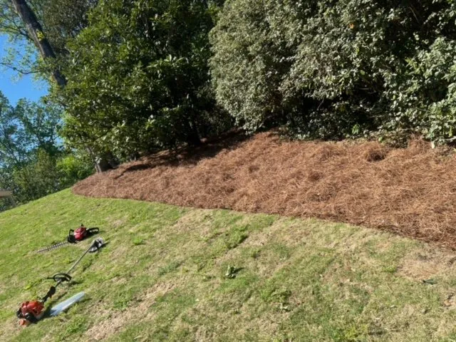 Local lawn mowing service in Tuscaloosa, AL by No Limit Lawn Service