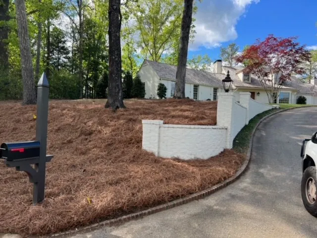 Top-rated landscaping services in Tuscaloosa, AL by No Limit Lawn Service