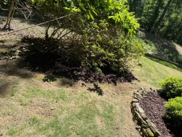 Reliable landscaping services experts serving Tuscaloosa, AL - No Limit Lawn Service