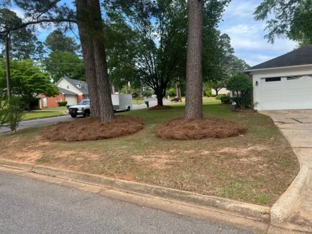 Trusted yard cleanup service in Tuscaloosa, AL by No Limit Lawn Service