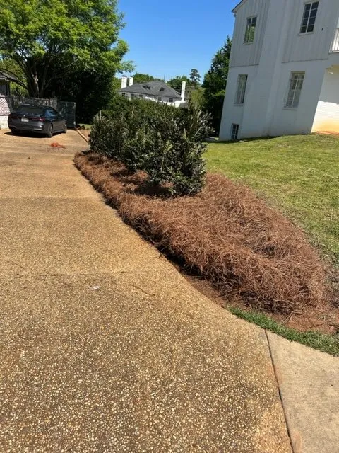 Top-rated yard cleanup service experts serving Tuscaloosa, AL - No Limit Lawn Service