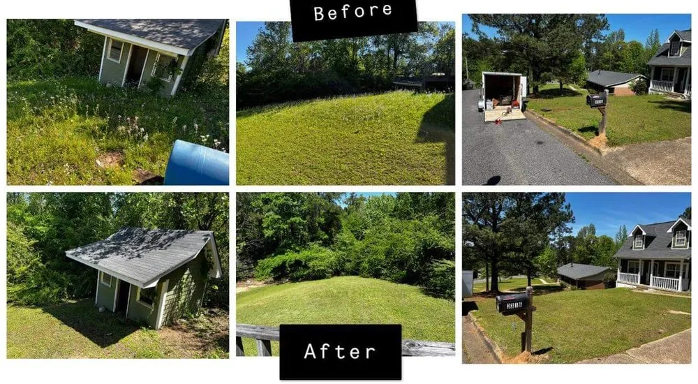 Custom lawn care service in Tuscaloosa, AL - No Limit Lawn Service