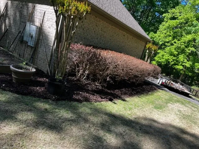 Local landscaping services in Tuscaloosa, AL by No Limit Lawn Service