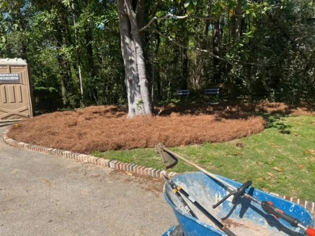 Professional yard maintenance in Tuscaloosa, AL by No Limit Lawn Service