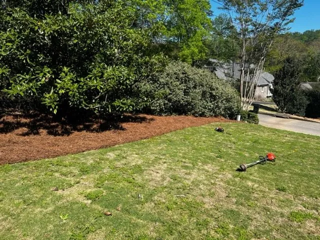 Custom lawn care service for beautiful yards in Tuscaloosa, AL by No Limit Lawn Service